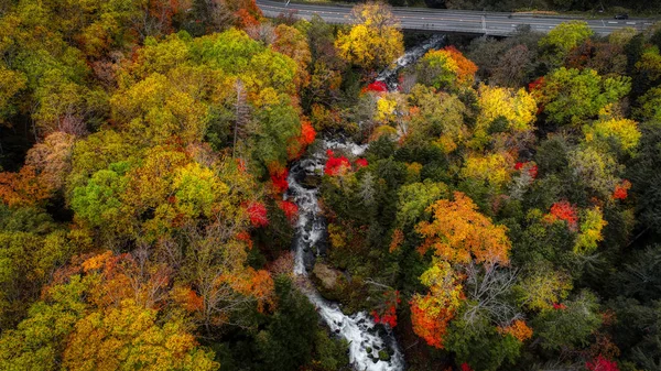 Осенний Лес Водопад — стоковое фото