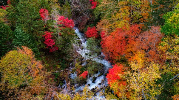 Outono Floresta Cachoeira — Fotografia de Stock