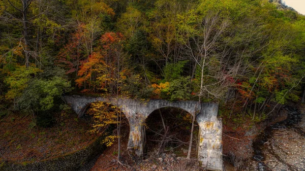 Järnvägen Ramains Hokkaido — Stockfoto