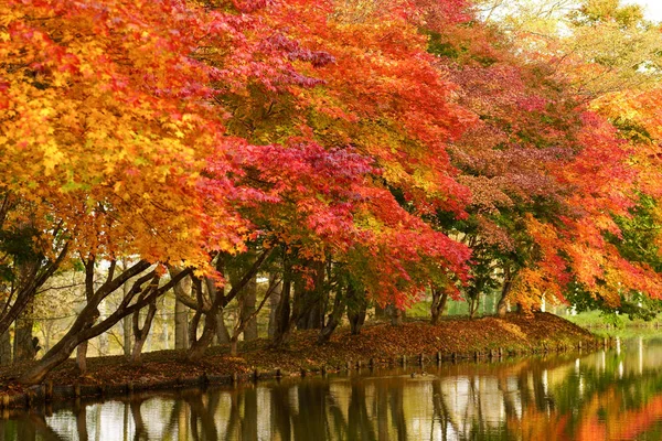 Hoja Roja Otoño —  Fotos de Stock