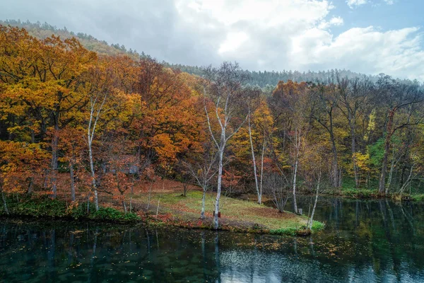 Park Herbst Hokkaido — Stockfoto