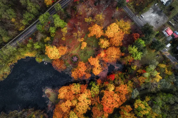 Парк Осенью Хоккайдо — стоковое фото