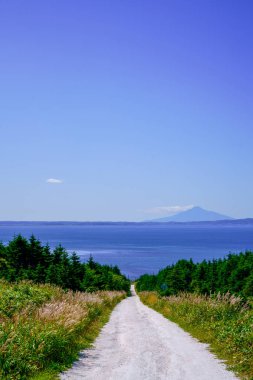 Hokkaido'da beyaz yol