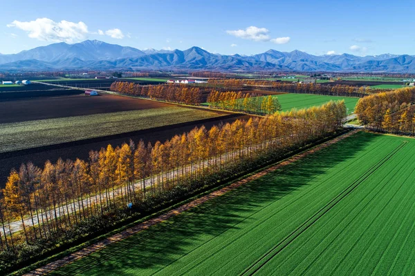 Autumn Landscape Tokachi Hokkaido — Stock Photo, Image