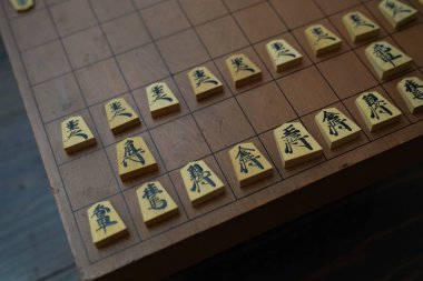 Shogi Japon Satrancı
