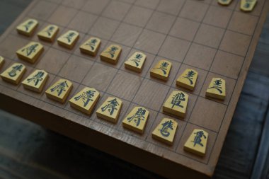 Shogi Japon Satrancı
