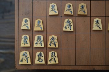 Shogi Japon Satrancı