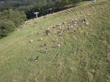 Sığır'ın hava fotoğrafı