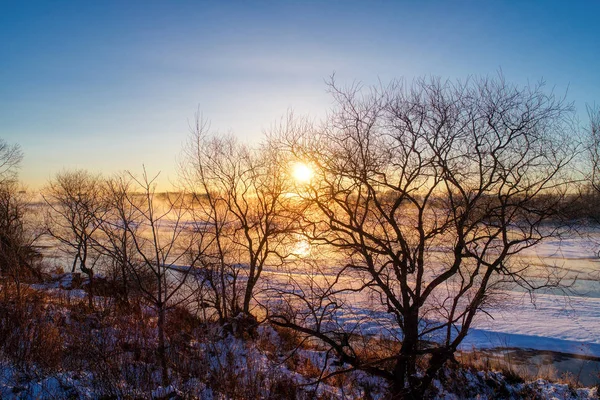 Mist Winter Hokkaido — Stock Photo, Image