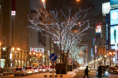 Kış Hokkaido'da Sapporo