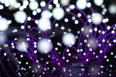 Kış sapporo aydınlatma