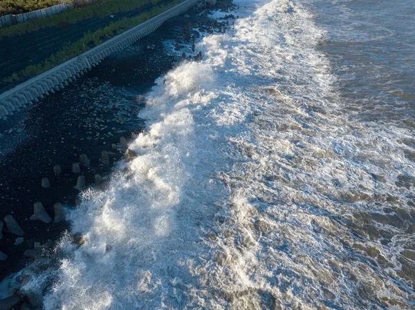 太平洋の海岸 — ストック写真