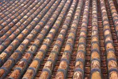 kanıt Okinawa Döşe