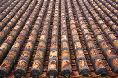 kanıt Okinawa Döşe