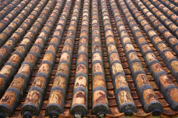 kanıt Okinawa Döşe