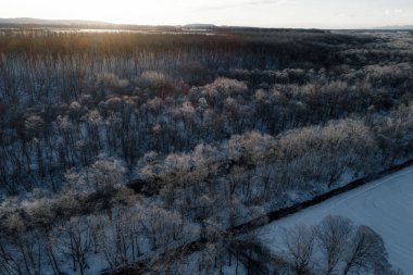 Kış hokkaido manzara