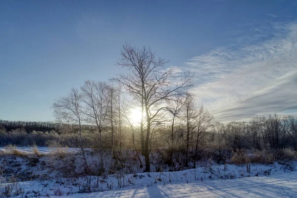 Landschaft Winter Hokkaido — Stockfoto