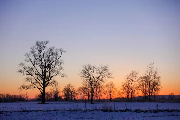 Landschaft Wintermorgen — Stockfoto