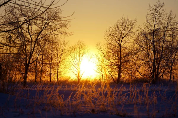 sunrise in winter morning