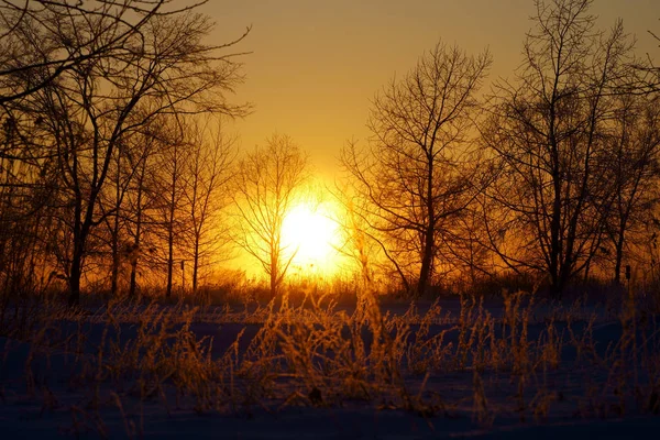 sunrise in winter morning