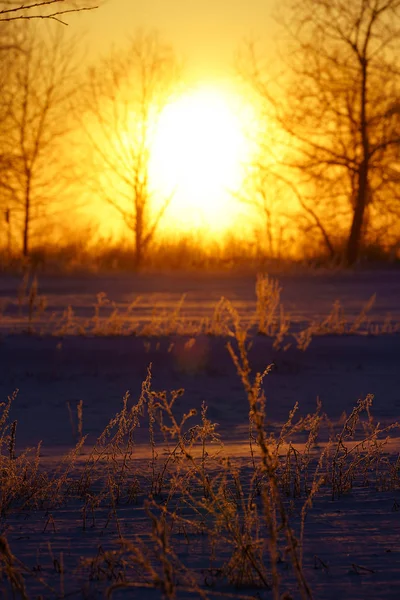 Nascer Sol Manhã Inverno — Fotografia de Stock