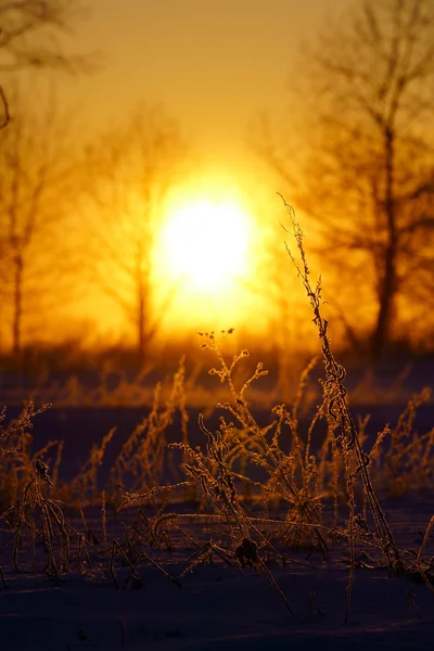 sunrise in winter morning