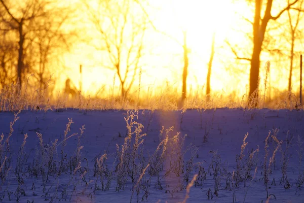 sunrise in winter morning