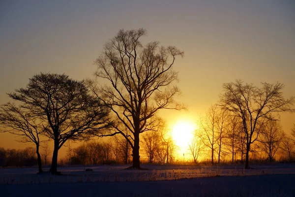 Nascer Sol Manhã Inverno — Fotografia de Stock