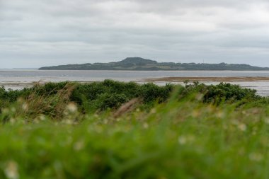 Kohama Iriomote Island gördün Adası