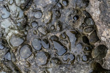 pot hall Iriomote Adası