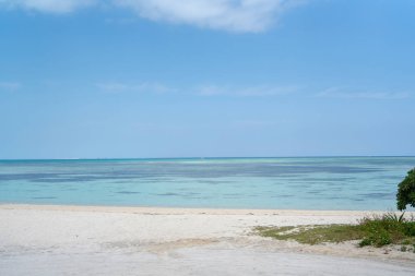 kondoi plaj taketomi Adası