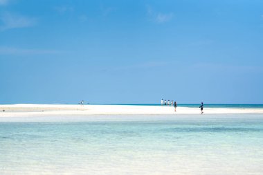 kondoi plaj taketomi Adası