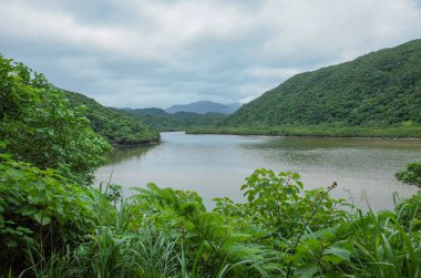 urauti nehir Iriomote Adası