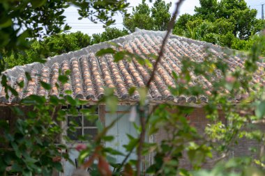 okinawa adasında hateruma