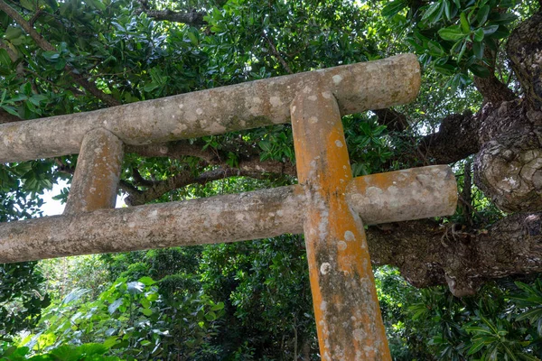 Torii taketomi Adası