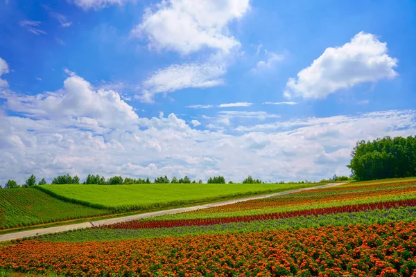 Yaz hokkaido manzara