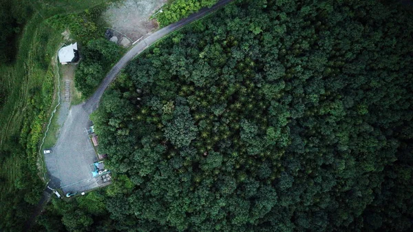 Ormanda Vurdu Aireal — Stok fotoğraf