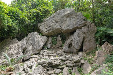 Okinawa orman, siz bunu baþka