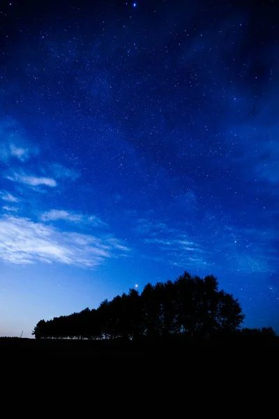 Floresta Prova Vento Céu Noturno — Fotografia de Stock