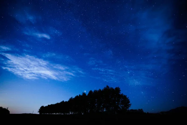 Szélálló Erdő Éjszakai Égbolt — Stock Fotó