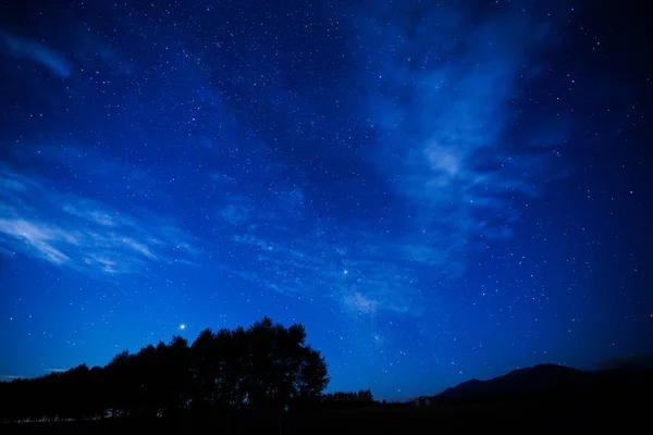 Vindtät Skog Och Natt Himmel — Stockfoto