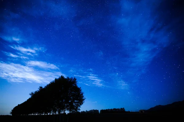 Bosque Prueba Viento Cielo Nocturno — Foto de Stock