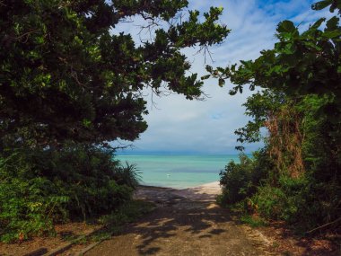 taketomi ada manzara