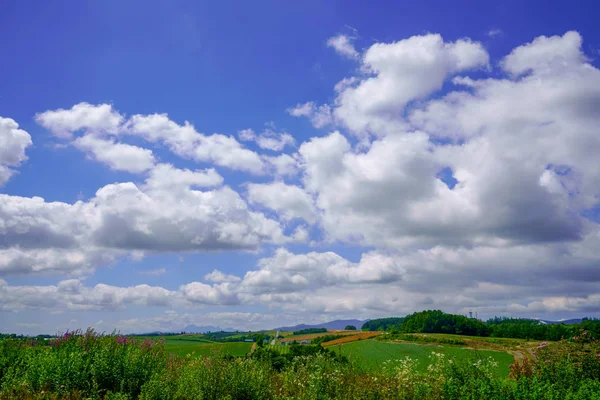 在北海道的花园 — 图库照片