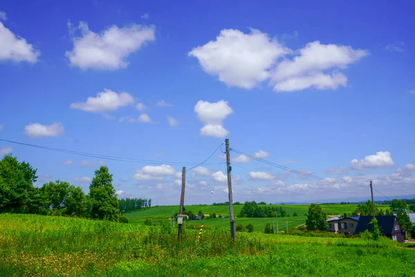 Kwiat Ogród Hokkaido — Zdjęcie stockowe