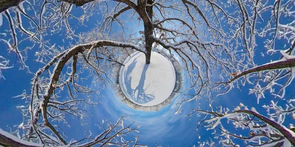 Little Planet Winter — Stock Photo, Image