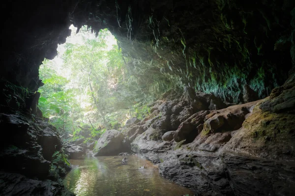 Cueva Isla Iriomote — Foto de Stock