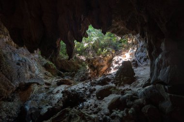 iriomote adasında mağara