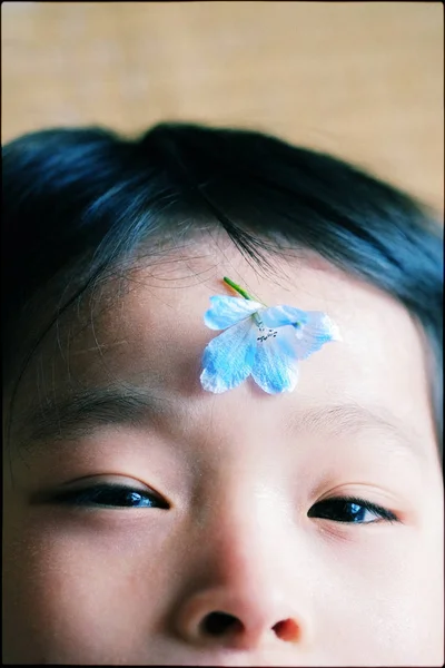 Παιδί Που Κουβαλάει Ένα Λουλούδι — Φωτογραφία Αρχείου