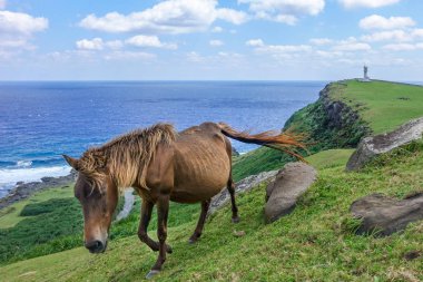 yonaguni adasında hoese